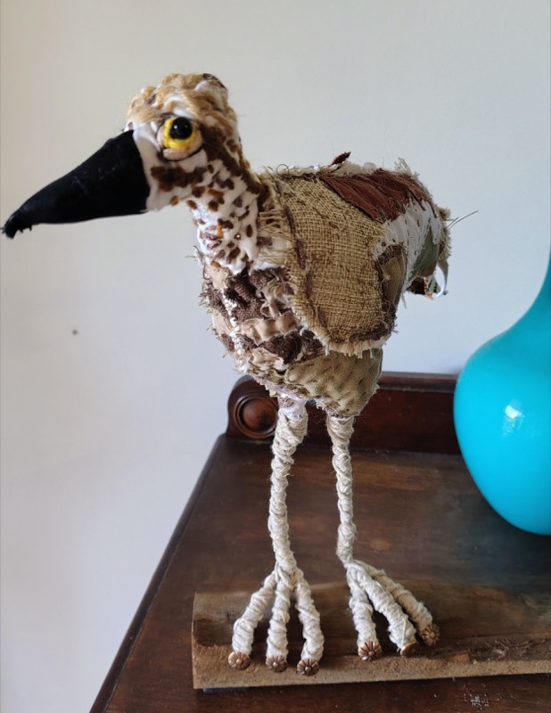 Carla the Curlew by Lesley Bright