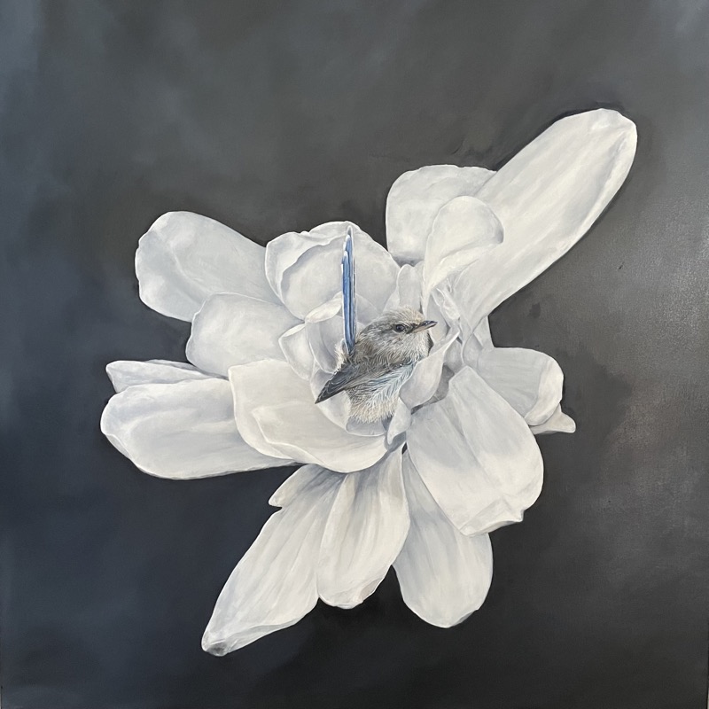 A Pause in the Petals by Tara Stower